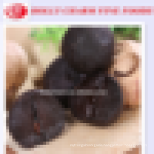 Korean Hot Sale Solo Black Garlic in selling